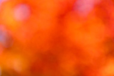 Odaklanamayan bulanık sonbahar. Görüntü arkaplanı. Turuncu sonbahar arka planı. Odaklanmamış bulanık turuncu düşüş. Bulanık sonbahar arka planı. Arka plan bulanıklaştı. Bulanık sonbahar arkaplanı. Bulanık turuncu arkaplan.