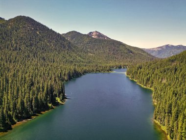 Washington 'daki Cooper Gölü. Cooper Gölü 'nün popüler doğa yürüyüşü. Cooper gölü ve dağ manzarası. Cooper Gölü 'nün dağ ve orman manzarası. Doğa manzarası. Yeşil tepeler.
