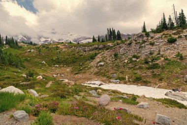 Manzaranın doğası. Ormanın manzaralı manzarası. Ormanlı tepe manzarası. Dağ ormanlarının doğası. Dağdaki yeşil orman manzarası. Karışık Ormanın Doğası.
