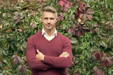 Autumn Park 'taki işadamı, kopyalama alanı. Kafkasyalı bir adamın günlük bir tarzı vardır. Olgun erkek portresi. Açık havada bir iş adamı portresi. Güven ve başarı. Olgun iş adamı. Sonbahar portresi.