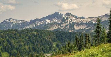 Dağ vadisi. Çam ağacı ve ormanlı dağ manzarası. Dağlı orman doğası. Yeşil vadi manzarası. Dağ kırsalında doğa. Kırsal vadinin manzarası. Büyüleyici orman.