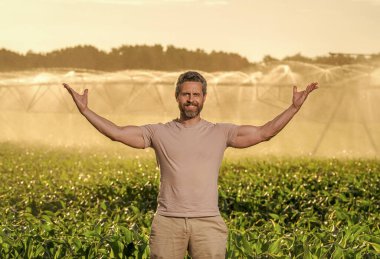 Ekin sulama. Tarım ve tarım. Sulama sisteminde tarımı sulayan bir adam. Çiftçi adam kırsalında. Su püskürtme sulama tarlası. Damlatma sulama sistemi. Ekin ekimi.