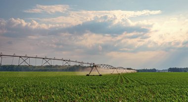Damlatma sulama sistemi. Ekin sulama. Tarım ve tarım. Kırsal kesimdeki tarımsal tarlaları sulama sistemi. Organik sebze çiftliği. Su püskürtücü sulama alanı.