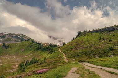 Bulutlu gökyüzü ile dağlık bir manzara. Yeşil Tepe Dağı manzaralı. Vahşi dağda, kozalaklı orman ve yeşil yamaçlı resimli bir yaz günü. Çayırlı dağ manzarası, Alpler.