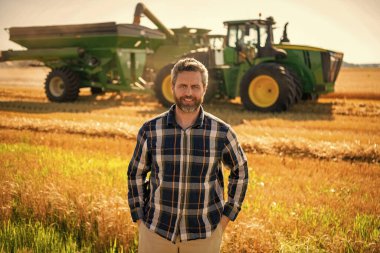 Ekin hasadı. Çiftçi buğdayı kontrol ediyor. Hasat zamanı tarım buğdayı. Kırsal kesim. Tarlada hasat yapan çiftçi adam. Olgun tarım. Sahadaki hasatçıyı. Çiftçi tarım uzmanı. Çiftlik işçisi.