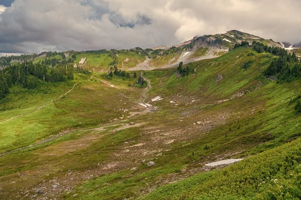 Bulutlu gökyüzü ile dağlık bir manzara. Yeşil Tepe Dağı manzaralı. Göz kamaştırıcı doğal manzara. Kozalaklı orman ve yeşil yamaçlı vahşi dağda yaz günü. Çayırlı dağ manzarası.