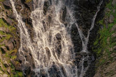 Myrtle şelale rotasını takip ediyor. Rainier Dağı ulusal park dağ doğa manzarası. Şelale manzarası. Doğa seyahati. Şelale seyahati.