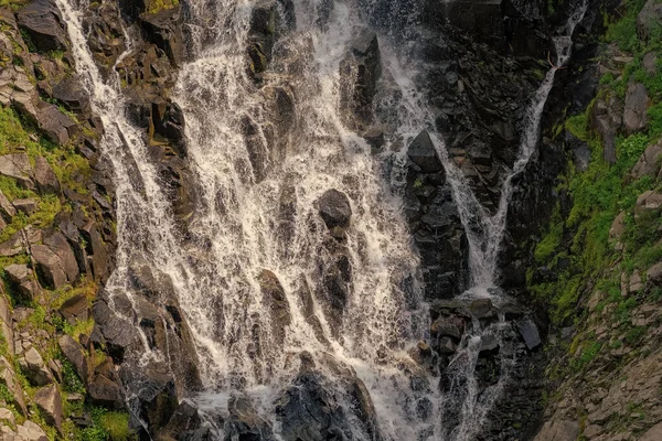 Myrtle şelale rotasını takip ediyor. Rainier Dağı ulusal park dağ doğa manzarası. Şelale manzarası. Doğa seyahati. Şelale seyahati.
