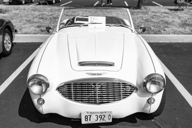 Chicago, Illinois, ABD - 08 Eylül 2024, 1960 Austin Healey 3000 iki koltuklu üstü açılabilir eski araba, ön manzara. Retro araba. Retro Austin Healey 1960 Austin Healey 3000. Chicago 'dan Austin Healey