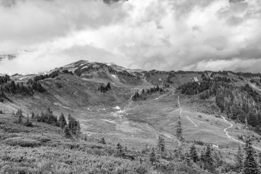 Rainier Dağı dağ manzarası. Orman doğası. Dağ kırsalında doğa. Dağ manzaralı bir yer. Manzara sonbahar kırsalında. Ormanlı Tahoma Dağı manzarası. Yuvarlanan tepeler.