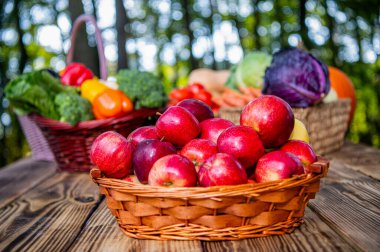 Orchard with ripe apple in basket. Apple fruit vitamin. Apple orchard in morning. Autumn fruit farming, advertisement. Health and diet. Summer harvest. Harvest in autumn orchard. Apple fruit.