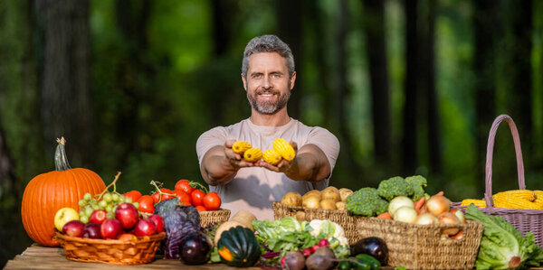 Organic food and eco farming. Greengrocer man outdoor. Greengrocer harvesting corn. Autumn vegetable harvest. Agriculture crop. Farmer food market. Man farmer with maize vegetable harvest.
