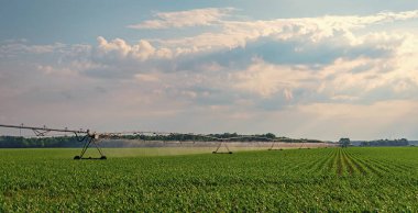 Tarım arazisindeki pivot sulama sistemi. Çiftçilik ve tarım. Ekin tarlası sulama. Tarım sulama sistemi ekin tarlalarını suluyor. Hidrofonik sebze çiftliği. Hidrofonik tarım.