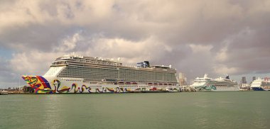 Miami, Florida, ABD - 03 Kasım 2024 Yaz Tatili Seyahati. Norveçli gemi şirketi. Gemi turu ve deniz seyahati. NCLH gemisi. Norveççe Tekrar Yolcu Gemisi Yolculuğu.