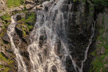 Şelale manzarası. Doğa seyahati. Şelale yolu. Seyahat güzergahı. Myrtle şelale rotasını takip ediyor. Rainier Dağı ulusal park dağ doğa manzarası.