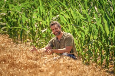 Yaz çiftçiliği. Ekin tarlasında hasat yapan adam. Sahadaki hasatçıyı. Arazi ve tarım. Mısır tarlasında çiftçi. Hasat mahsulü. Mısır tarlası çiftçisi. Tarımsal mısır tarlası hasat mevsimi.