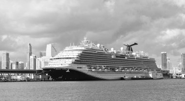 Miami, Florida, ABD - 03 Kasım 2024: lüks yolcu gemisi. Karnaval ufku. Gemi seyahati. Yaz tatilinde gemi turu. Gemi seyahati ve deniz seyahati. Karnaval yolcu gemisi.