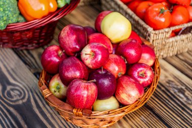 Sabah elma bahçesi. Sonbahar meyve yetiştiriciliği. Sağlık ve diyet. Yaz hasadı. Sonbahar bahçesinde hasat. Elma meyvesi Meyve bahçesi ve olgun elma sepeti. Elmalı meyve vitamini. Sağlıklı beslenme.