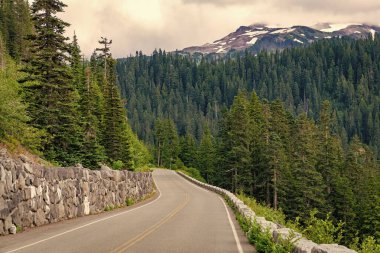Seyahat güzergahı. North Cascades Ulusal Parkı 'na peyzaj rotası. Sahne doğası. Kuzey Şelaleleri Ulusal Parkı. Dağ manzaralı bir yol. Dağ ve yol manzarası. Seyahat güzergahı.