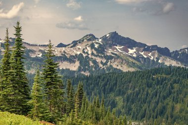 Kırsal vadinin manzarası. Dağ vadisi. Çam ağacı ve ormanlı dağ manzarası. Dağlı orman doğası. Yeşil vadi manzarası. Dağ kırsalında doğa. Geniş dağ vadisi.