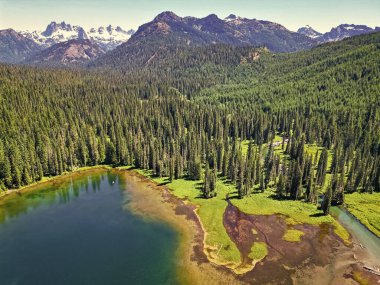 Doğa manzarası. Washington 'daki Cooper Gölü. Cooper Gölü 'nün popüler doğa yürüyüşü. Cooper gölü ve dağ manzarası. Cooper Gölü 'nün dağ ve orman manzarası. Sakin orman..