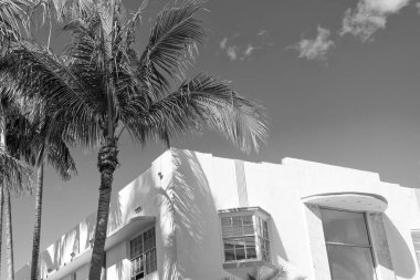 Binanın düşük açılı görüntüsü. Konut mimarisi. Mimari dış görünüş. Evin dış kısmı parçalanmış. Modern apartman binası. Yaz cenneti. Palmiye ağaçları olan bir apartman..