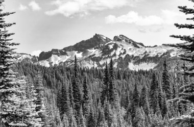 Manzara sonbahar kırsalında. Ormanlı Tahoma Dağı manzarası. Rainier Dağı dağ manzarası. Orman doğası. Dağ kırsalında doğa. Dağ manzaralı bir yer. Geniş vahşi doğa..