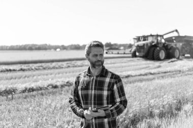 Modern tarımın teknolojisi. Tarlada tabletle çalışan çiftçi. Tablet çekli İspanyol çiftçi. Ekin hasadı. Tarlada tableti olan çiftçi tarımcı adam. Kırsal mahsul.