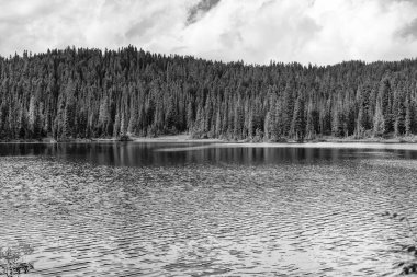 Popüler yürüyüş gölü manzarası. Dağ ormanları. Yeşil orman. Dağ manzaralı bir göl. Dağ manzarası ve göl ormanı. Doğa manzarası. Manzaralı göl. Seyahat tutkusu.