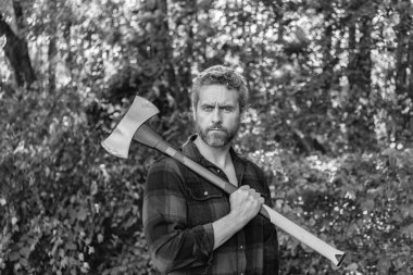 Baltalı İspanyol oduncu adam. Oduncu baltası. Ağaç kesen baltalı adam. Çalışkan, acımasız adam. Oduncu ormanda çok çalışıyor. Adam paslı baltayı tutuyor. Acımasız oduncu. Vahşilik ve erkeklik.