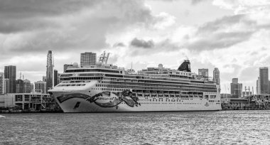 Miami, Florida, ABD - 4 Kasım 2024: yaz tatilinde yolcu gemisi. Gemi seyahati ve deniz seyahati. Lüks yolcu gemisi. Norveç yeşimi. Gemi seyahati. Denizde Tatil.