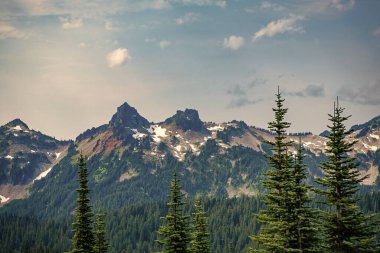 Dağ manzaralı bir yer. Manzara kozalaklı orman. Çam ağacı ve dağ orman manzarası. Dağ manzarası. Orman Doğa Dağı. Dağ kırsalında doğa. Nefes kesici vahşi doğa..