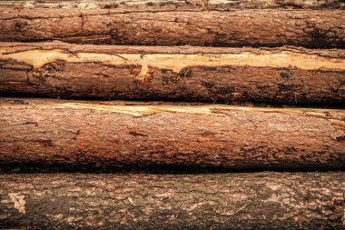 Kereste kesiyorum. Tahta arka plan. Ahşap kütüğün arka planı. Ağaç kütüğü kışa hazır. Tahta kütük arka planı. Yakacak odun odunu kesiyorum. Odunlar odun yığınıydı. Tahta hasatı..