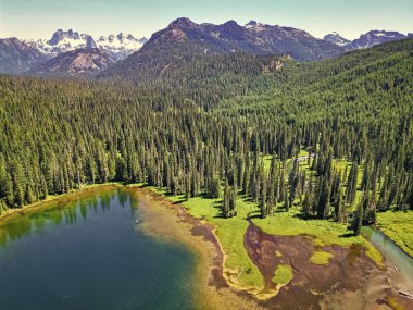 Cooper gölü ve dağ manzarası. Cooper Gölü 'nün dağ ve orman manzarası. Doğa manzarası. Washington 'daki Cooper Gölü. Cooper Gölü 'nün popüler doğa yürüyüşü. Mavi su.