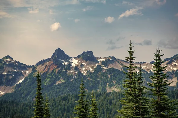 Dağ manzaralı bir yer. Manzara kozalaklı orman. Çam ağacı ve dağ orman manzarası. Dağ manzarası. Orman Doğa Dağı. Dağ kırsalında doğa. Nefes kesici vahşi doğa..