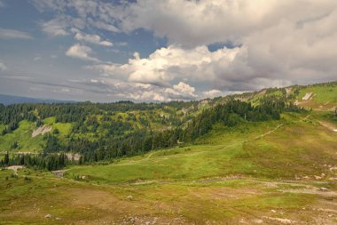 Kozalaklı orman ve yeşil yamaçlarla vahşi dağda nefes kesici bir yaz günü. Çayırlı dağ manzarası. Bulutlu gökyüzü ile dağlık bir manzara. Manzaralı yeşil tepe.