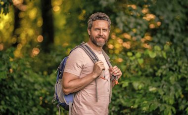 Sırt çantalı bir gezgin. Yürüyüş macerası. Seyahat yaşam tarzı. Kırsalda yürüyüş yapan bir adam. İspanyol adam ormanı. Ormanda yürüyüş yapan sırt çantalı bir yürüyüşçü. Erkek yürüyüşçü ormanda yürüyor. Sırt çantası.