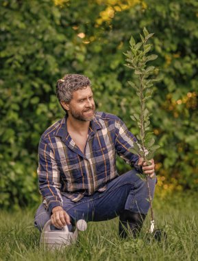 Orman ekiyorum. Bahçesinde sulama kutusu olan bir adam. Sulama ağacı. Ağaç dikiyorum. Bahçecilik ve meyve bahçesi. Ağaç dikmek için tohumlama. Bahçıvan bahçıvanlık. Baharda bahçıvan.