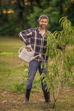 Şeftali ağacı suluyorum. Ağaç dikiyorum. Bahçecilik ve meyve bahçesi. Ağaç dikmek için tohumlama. Bahçıvan bahçıvanlık. Baharda bahçıvan. Bahçesinde sulama kutusu olan bir adam. Doğa konsepti.