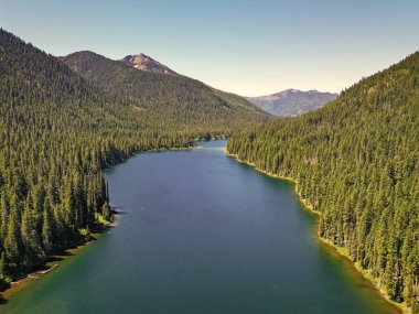 Cooper Gölü 'nün dağ ve orman manzarası. Doğa manzarası. Washington 'daki Cooper Gölü. Cooper Gölü 'nün popüler doğa yürüyüşü. Cooper gölü ve dağ manzarası. Görkemli dağlar.