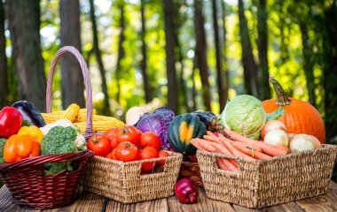Organik yiyecekler. Sebze hasadı. Çevre tarımı ve hasat. Yaz ya da sonbahar çiftliği mahsulü. Sebze hasadı. Taze ve organik sağlıklı sebzeler. Bahçıvanlık tarım tarım, reklam.