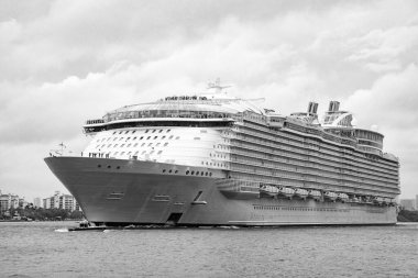 Kocaman bir yolcu gemisi. Gemi Miami sahil limanından ayrılıyor. Gemi seyahati. Tatildeki yolcu gemisinin manzarası. Gemi seyahati ve deniz seyahati. Seyahat turu.