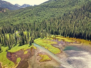 Cooper Gölü 'nün popüler doğa yürüyüşü. Cooper gölü ve dağ manzarası. Cooper Gölü 'nün dağ ve orman manzarası. Doğa manzarası. Washington 'daki Cooper Gölü. Ferahlatıcı esinti.