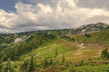 Ormanlı çam ve dağ manzarası. Dağlı orman doğası. Yeşil vadi manzarası. Dağ kırsalında doğa. Manzara kırsal vadi. Dağ vadisi. Görkemli dağ manzarası.
