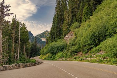 Dağ ve yol manzarası. Seyahat güzergahı. North Cascades Ulusal Parkı 'na peyzaj rotası. Turistik rota. Kuzey Şelaleleri Ulusal Parkı. Diablo gölüne giden yol dağ manzarasıyla dolu..