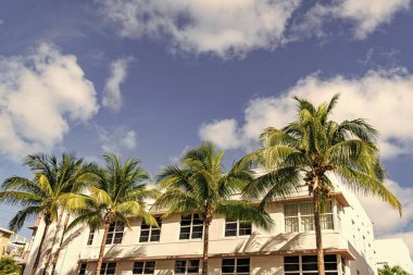 Ocean Drive 'daki Miami South Beach. Art Deco mimarisi. Mimari bina. Tarih Bölgesi. Art deco mimari bölgesi. Art Deco. Modern yapı ve palmiye ağacı.