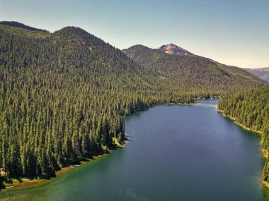 Cooper Gölü 'nün dağ ve orman manzarası. Doğa manzarası. Washington 'daki Cooper Gölü. Cooper Gölü 'nün popüler doğa yürüyüşü. Cooper gölü ve dağ manzarası. Görkemli dağlar.