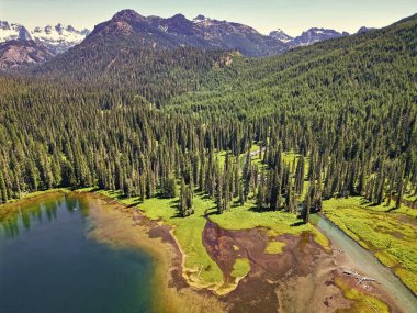 Cooper gölü ve dağ manzarası. Cooper Gölü 'nün dağ ve orman manzarası. Doğa manzarası. Washington 'daki Cooper Gölü. Cooper Gölü 'nün popüler doğa yürüyüşü.