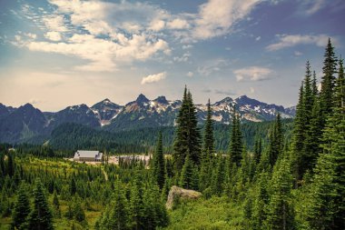 Manzara kozalaklı orman. Yeşil vadi manzarası. Çayırın doğa manzarası. Vadi ve dağ manzarası. Dağ vadisi. Ormanlı çam ağacı dağı manzarası. Görkemli dağ manzarası.