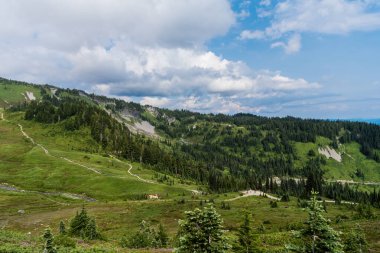 Dağdaki yeşil orman manzarası. Karışık ormanın doğası. Manzaranın doğası. Manzaralı orman manzarası. Ormanlı tepe manzarası. Doğa dağ ormanı. Sessiz tepe ülkesi.